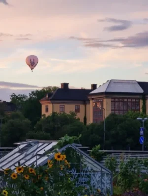 Flyg luftballong i Uppsala eller Stockholm vore en dröm