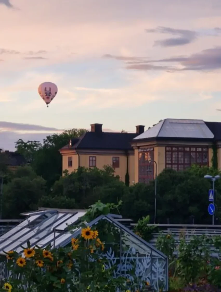 Flyg luftballong i Uppsala eller Stockholm vore en dröm
