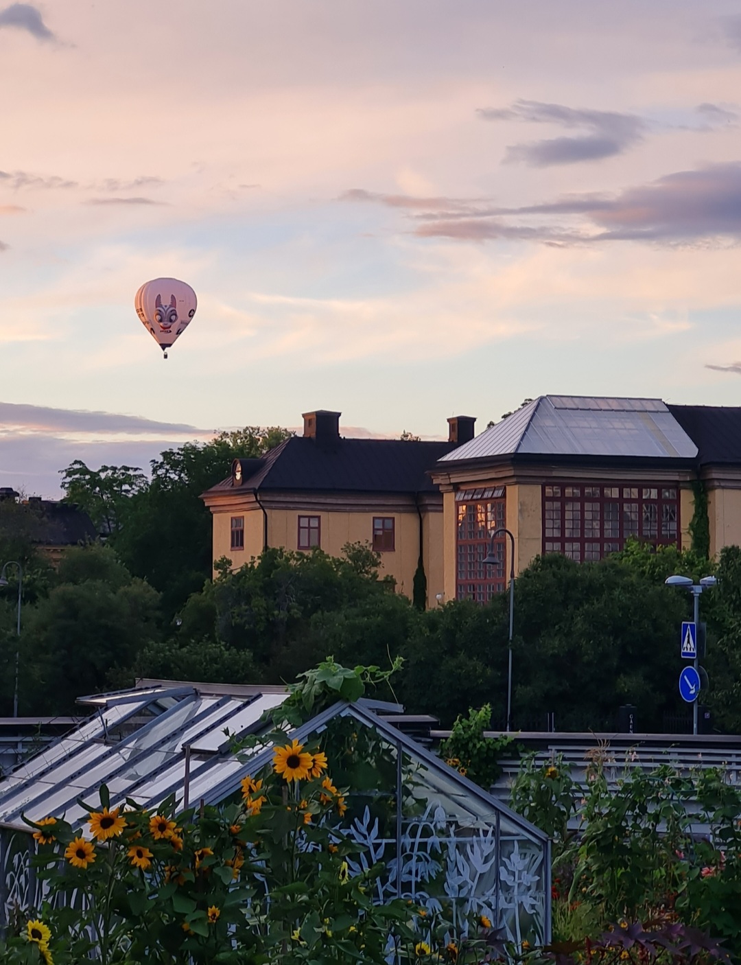 Flyg luftballong i Uppsala eller Stockholm vore en dröm!