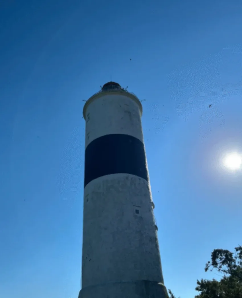 Aktiviteter och sevärdheter på Öland